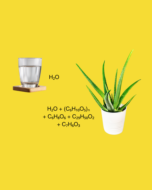 ALOE VERA WATER vs. NORMAL  WATER IN SHAMPOO: WHY EVERY  DROPS MATTERS